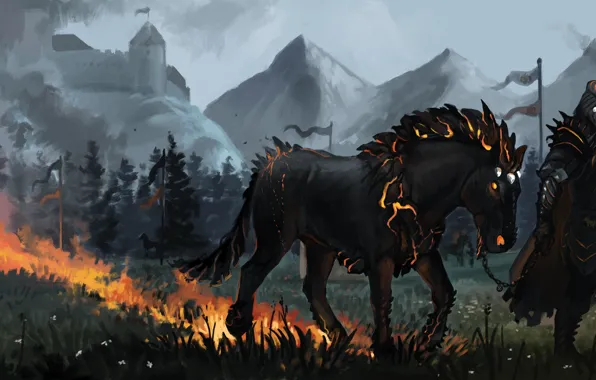 Picture lights, horse, horse, warrior