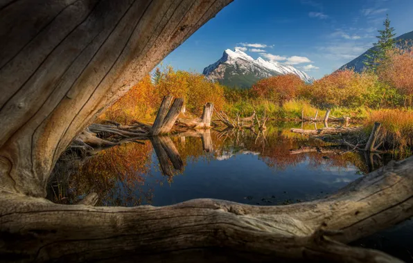 Autumn, the sky, snow, mountains, lake, reflection, blue, thickets