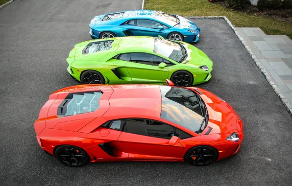 Picture green, Lamborghini, red, blue, three, mixed, LP700-4, Aventador