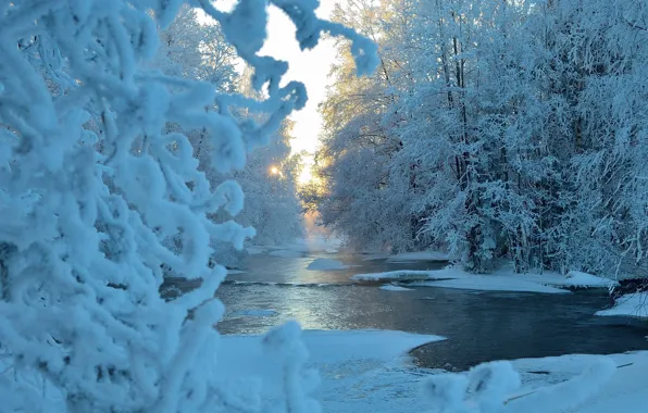 Winter, forest, the sun, snow, trees, blue, river
