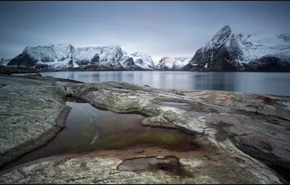 Picture sea, mountains, coast, Norway, Norway, Arctic, Lofoten