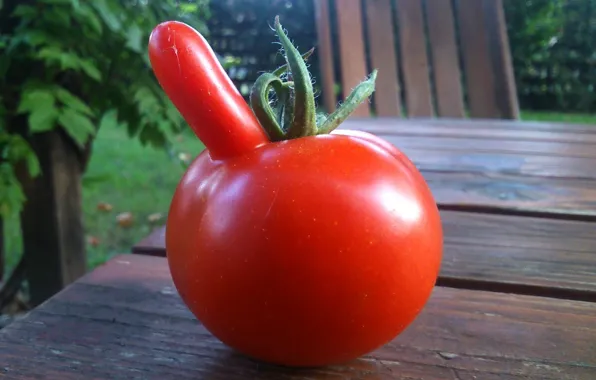 Background, spout, picture, tomato, funny, vegetable, the Board table, squirt