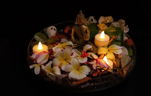 Leaves, flowers, flame, Nirvana, relax, candle, candles, petals