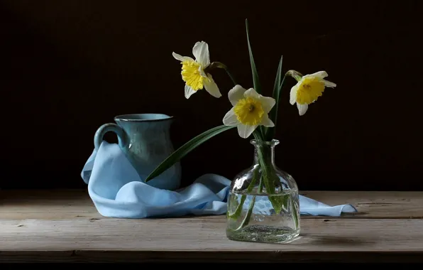 Flowers, still life, daffodils