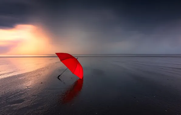 Picture sea, shore, umbrella