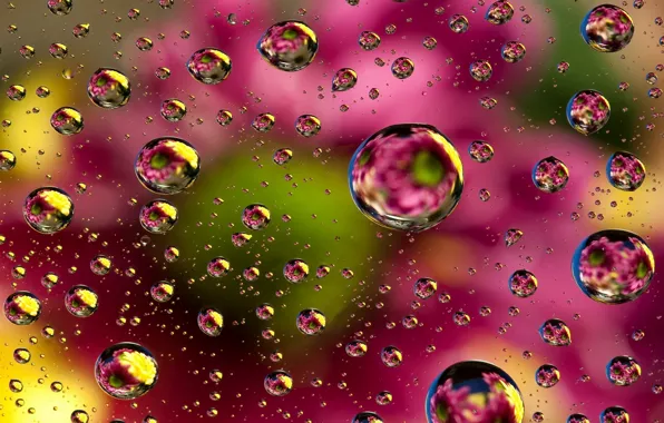 Picture abstraction, bubbles, background, colors, colorful, abstract, bubbles, background
