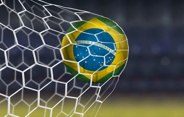 Picture The ball, Gate, Football, Goal, Brasil, FIFA