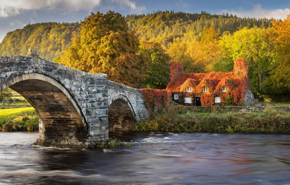 Autumn, forest, light, mountains, bridge, shore, house, arch