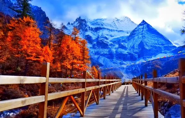 Winter, trees, mountains, bridge