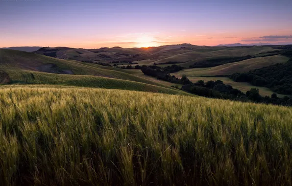 Field, landscape, sunset, Tuscany, Volterra