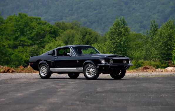 Ford, Shelby, GT500, Ford, Shelby, 1968