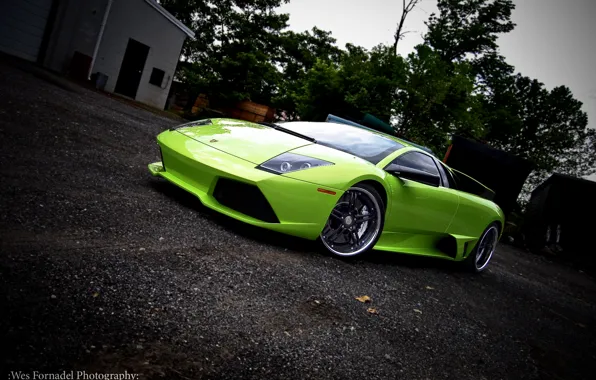 Picture green, lamborghini, drives, Lamborghini, murcielago, 360 forged, green, Miami