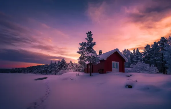 Picture winter, snow, sunset, paint, trail, the evening, house