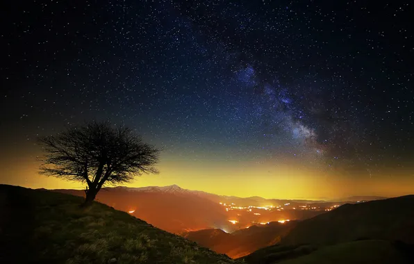 Stars, mountains, night, tree, Italy, the milky way, National Park Sibillini