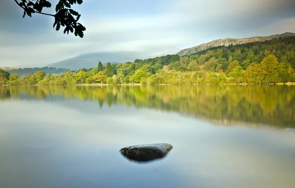 Summer, landscape, lake, stones