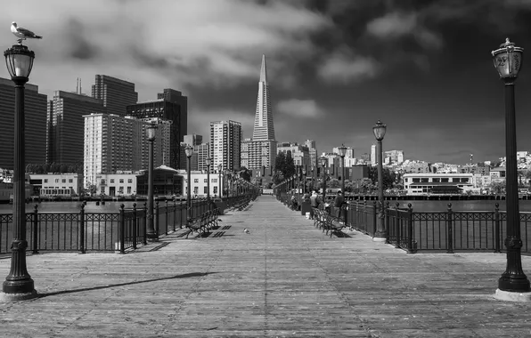 CA, USA, California, San Francisco