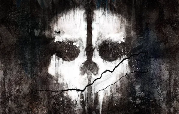 Picture wall, paint, skull, crack, Activision, Infinity Ward, Call of Duty: Ghosts