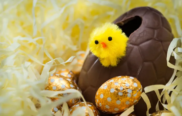 Eggs, Easter, chicken, looks, gold, Easter eggs, large, bokeh