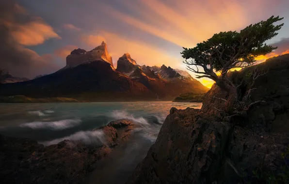 Sea, landscape, sunset, nature, tree, rocks, pine, the fjord