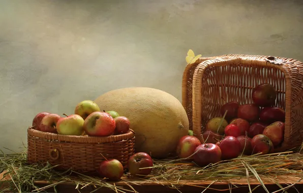 Summer, basket, apples, still life, melon