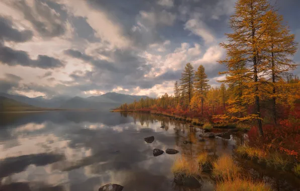 Picture autumn, forest, the sky, clouds, trees, mountains, yellow, fog