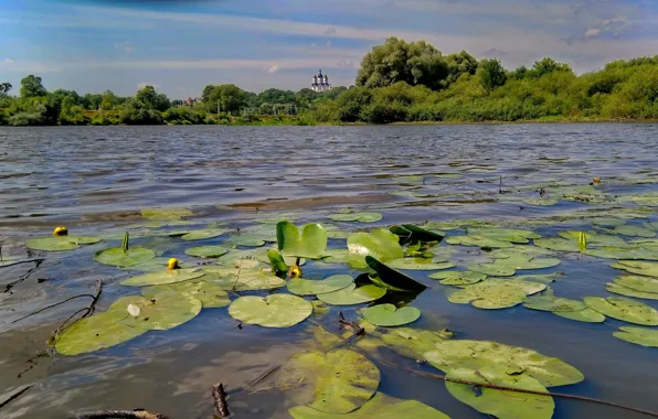 Water, nature, river, view, The sky, beautiful, Landscape, water lilies
