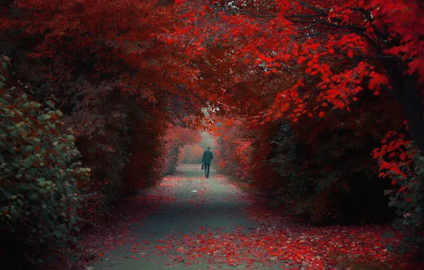 Autumn, Park, people