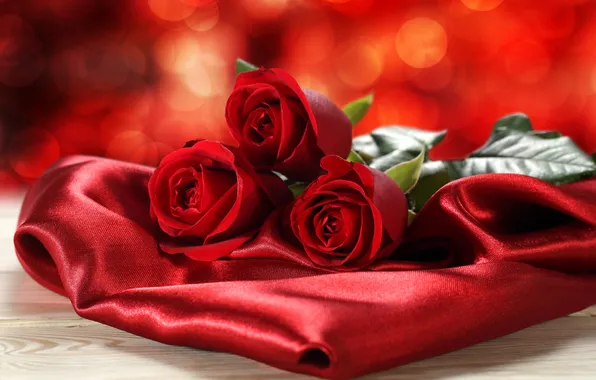 Flowers, roses, silk, red, fabric, satin