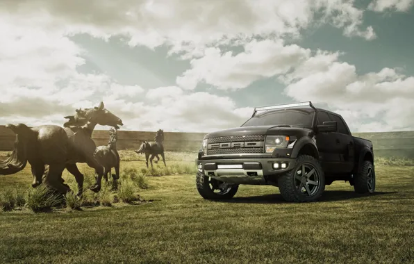 Picture field, the sky, black, Ford, horse, black, Ford, Raptor