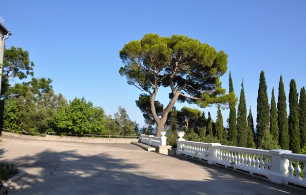 Crimea, Yusupov Park, Koreiz-1
