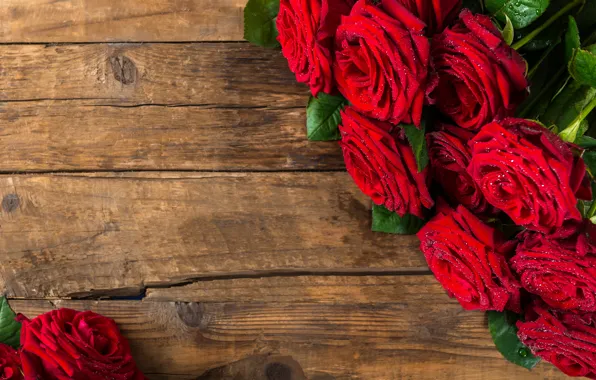 Picture red, roses, bouquet, beautiful