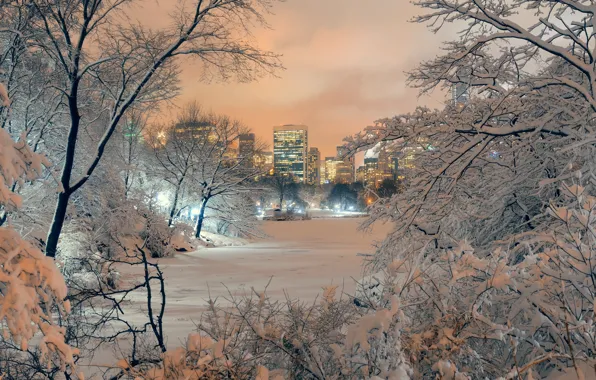 Winter, snow, trees, city, Park, landscape, New York, Manhattan