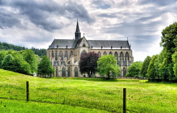 Grass, trees, landscape, Germany, Cathedral, Germany, Altenberg, Altenberg
