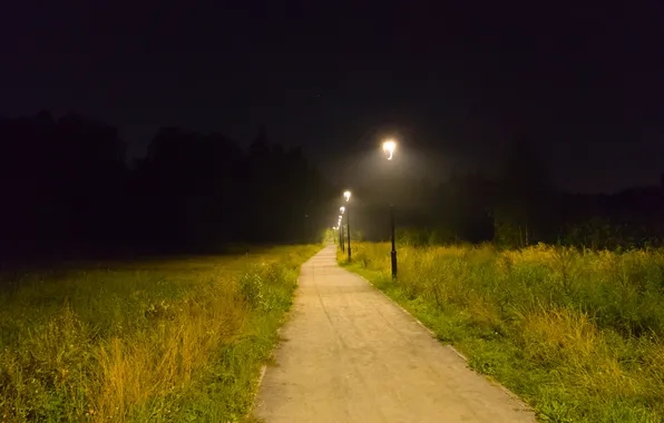 Picture road, forest, trees, night, nature, lights, Moscow, Russia