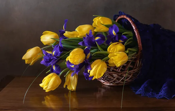 Picture purple, flowers, yellow, bouquet, tulips, fabric, still life, basket