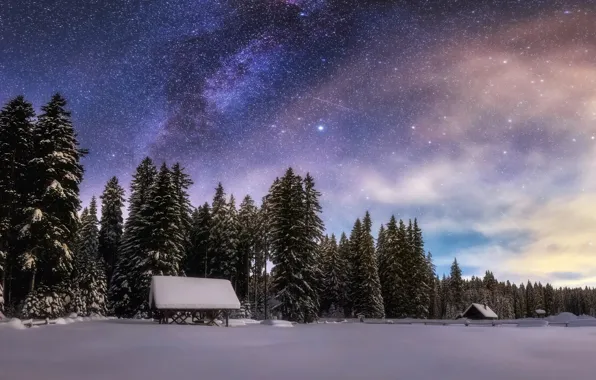 Winter, forest, the sky, stars, snow, night