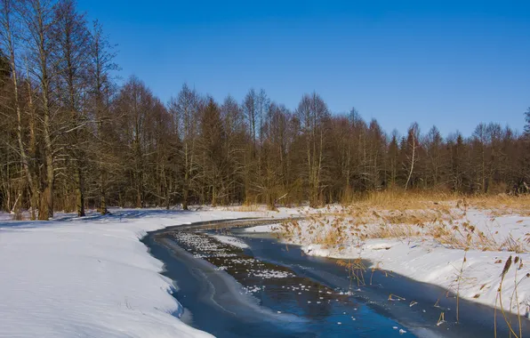 Winter, landscape, nature, Belarus