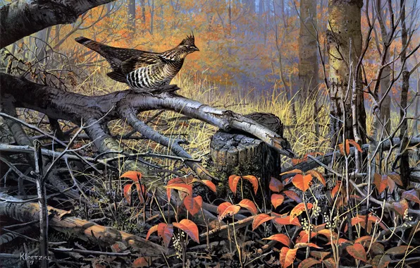 Picture autumn, trees, bird, dry, painting, autumn forest, deadwood, Don Kloetzke