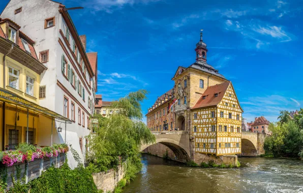 Picture the sky, the sun, trees, river, home, Germany, Bayern, Bamberg