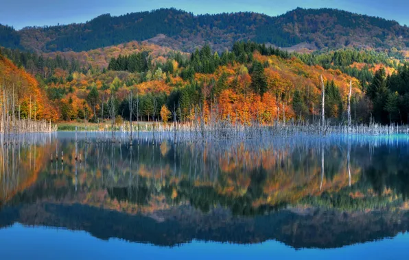 Autumn, the sky, trees, mountains, lake