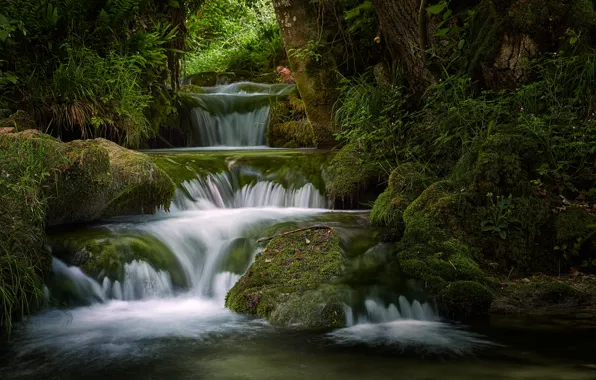Greens, forest, summer, trees, stones, shore, vegetation, waterfall