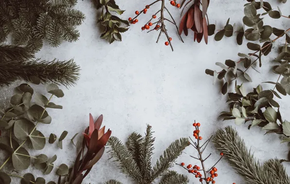 Christmas, Branches, Annie Spratt