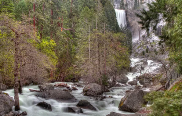 Picture forest, trees, mountains, stones, rocks, waterfall, stream