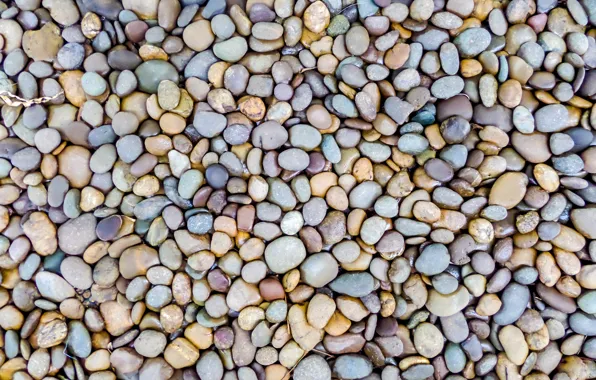 Beach, pebbles, stones, background, white, beach, texture, marine