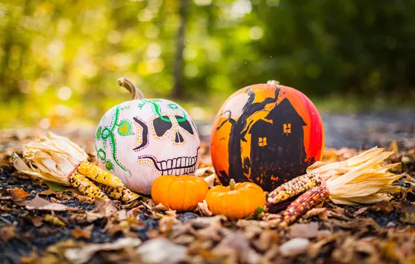 Autumn, leaves, light, nature, house, Park, glade, skull