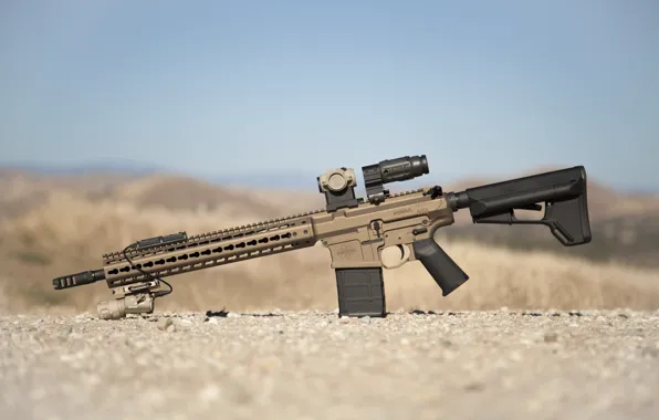 Weapons, assault rifle, SPR, MEGA