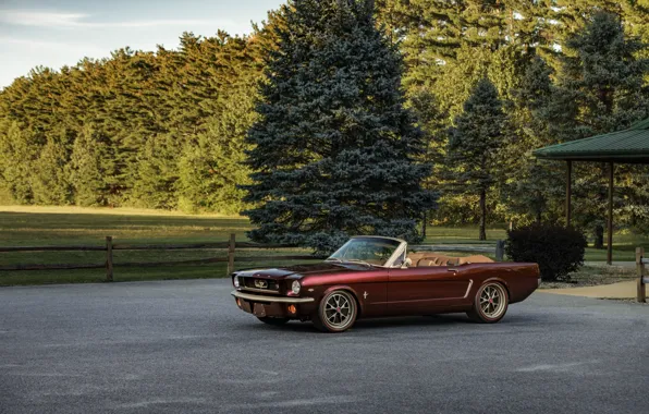 Mustang, Ford, burgundy, Ringbrothers, 1965 Ford Mustang Convertible, Ford Mustang Uncaged