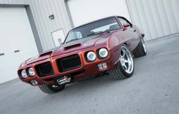 1969, pontiac, Firebird, Restored