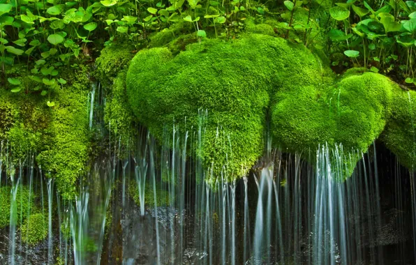 Waterfall, moss, USA, national Park, Virginia, Shenandoah