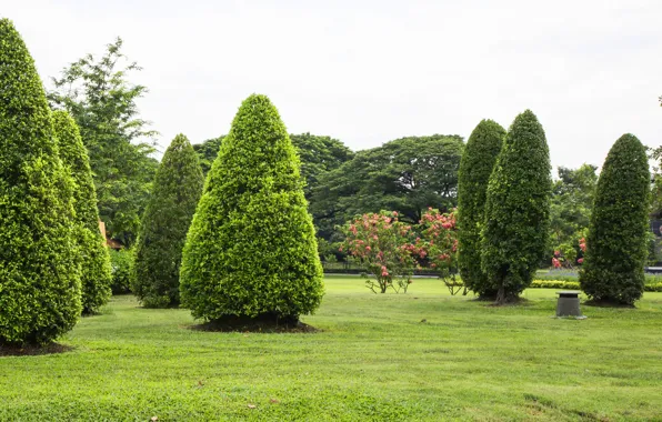Greens, grass, trees, flowers, design, Park, lawn, Thailand